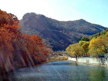 管家婆免费正版资起大全，逃出游客旅馆